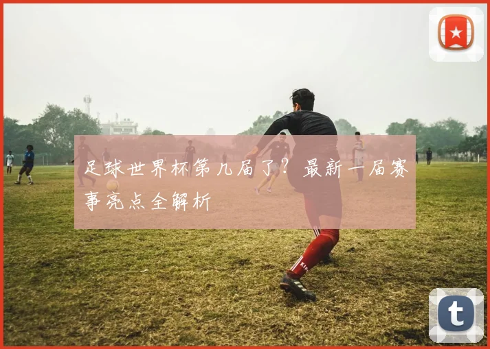 足球世界杯第几届了？最新一届赛事亮点全解析