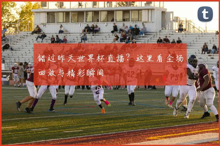 错过昨天世界杯直播？这里看全场回放与精彩瞬间