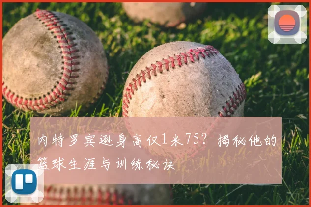 内特罗宾逊身高仅1米75？揭秘他的篮球生涯与训练秘诀