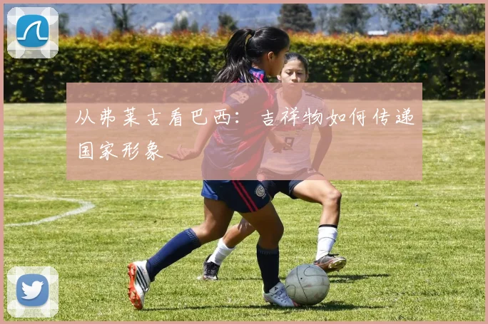 从弗莱古看巴西：吉祥物如何传递国家形象