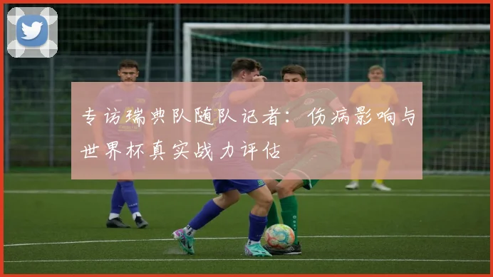 专访瑞典队随队记者：伤病影响与世界杯真实战力评估