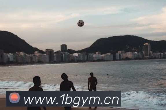 米兰官方网站入口平台生态图